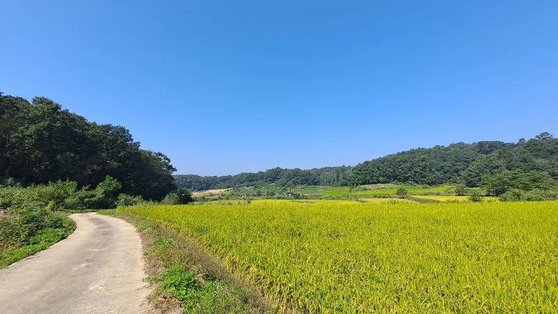 DMZ 평화의 길 10코스