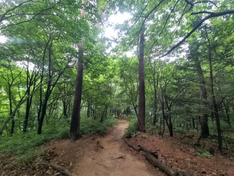 고양 앵봉·노고산 싱글 코스