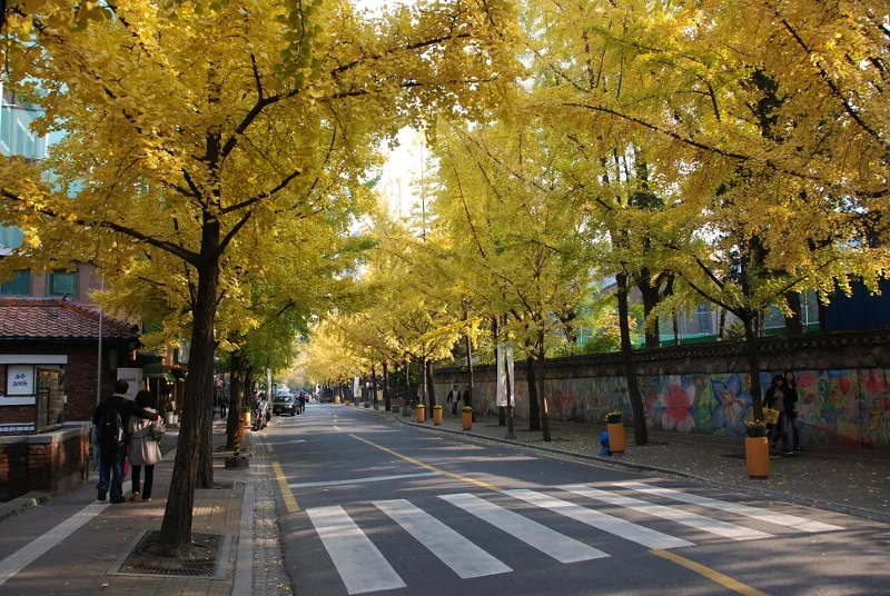 한양도성길 5코스 숭례문구간
