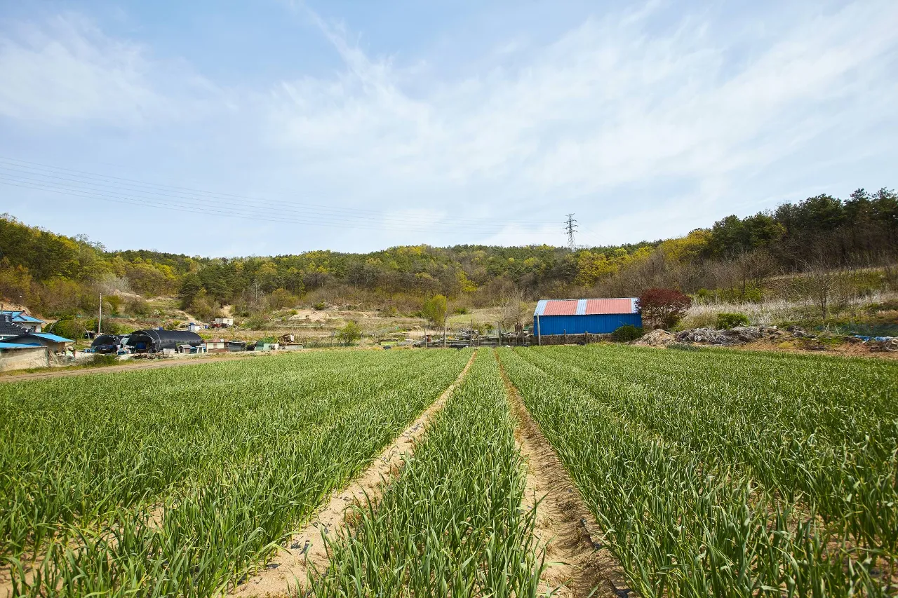 경기둘레길 33코스 (여주)